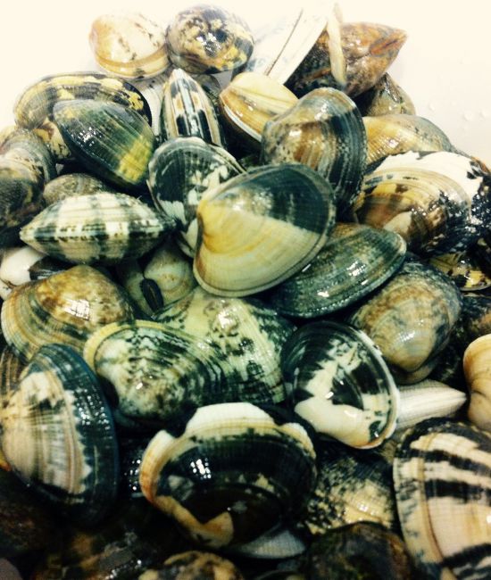 Vongole